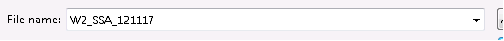 Browse for W-2 file